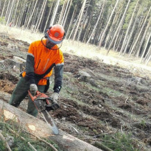 Volný těžař a LKT